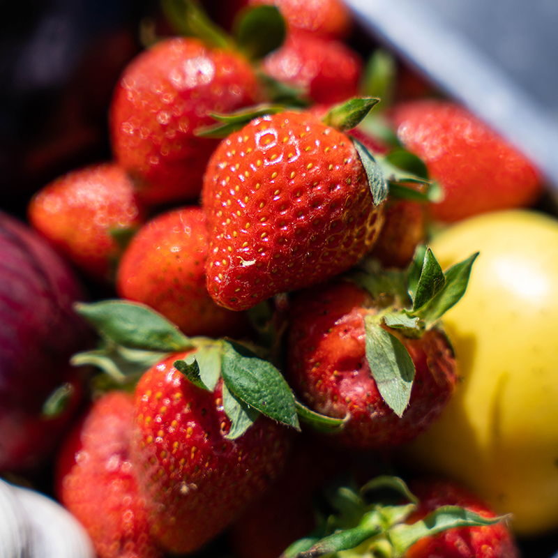 Chez-Ange_fraises